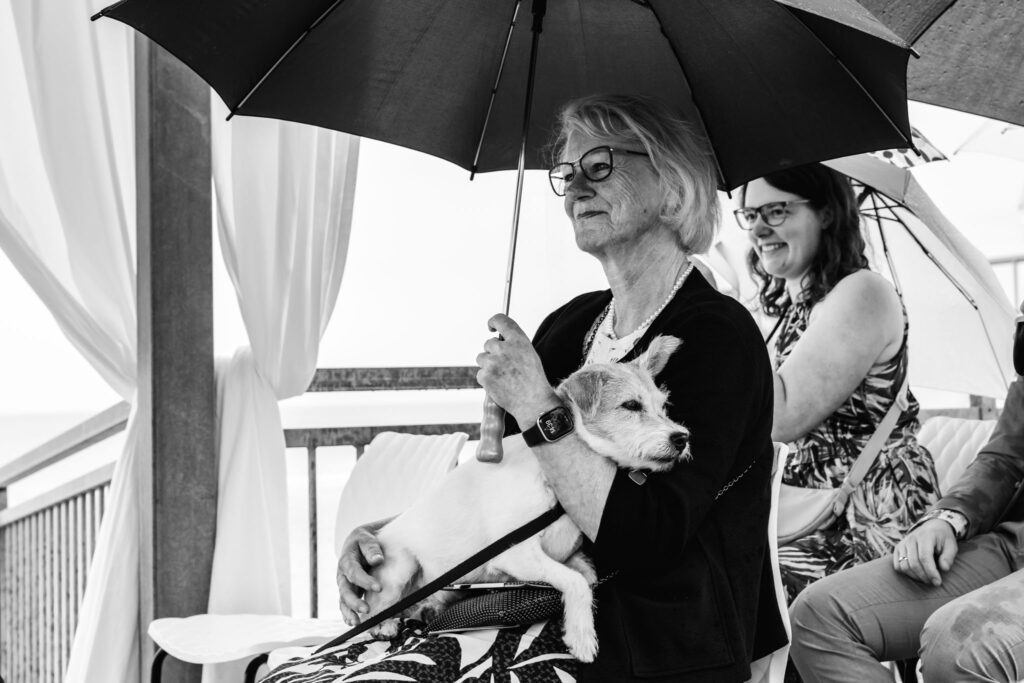 Gast met hondje onder een paraplu tijdens de ceremonie in Renesse, zwart-wit